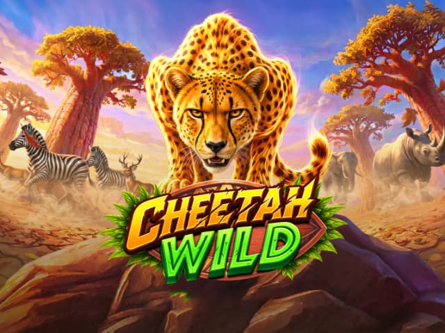Cheetah Wild