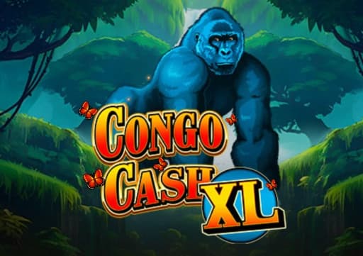 Congo Cash XL