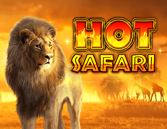 Hot Safari
