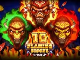 10 Flaming Bisons