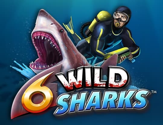 6 Wild Sharks